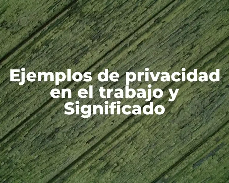 Ejemplos de privacidad en el trabajo y Significado
