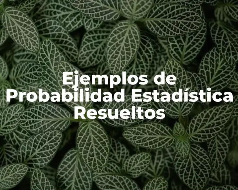 Ejemplos de Probabilidad Estadística Resueltos