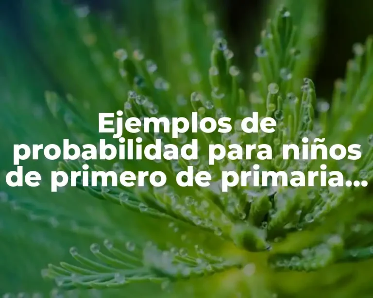 Ejemplos de probabilidad para niños de primero de primaria y Significado