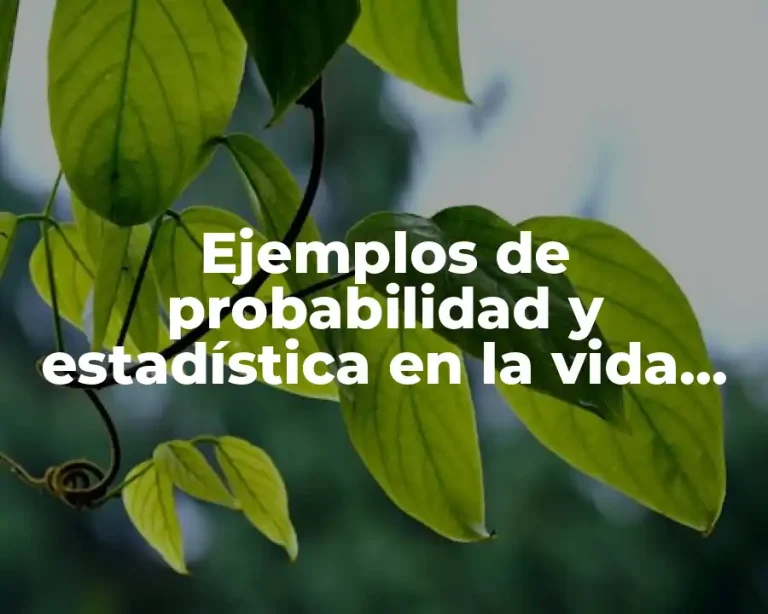 Ejemplos de probabilidad y estadística en la vida cotidiana