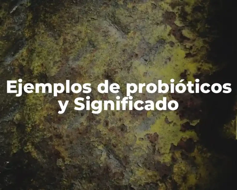 Ejemplos de probióticos y Significado