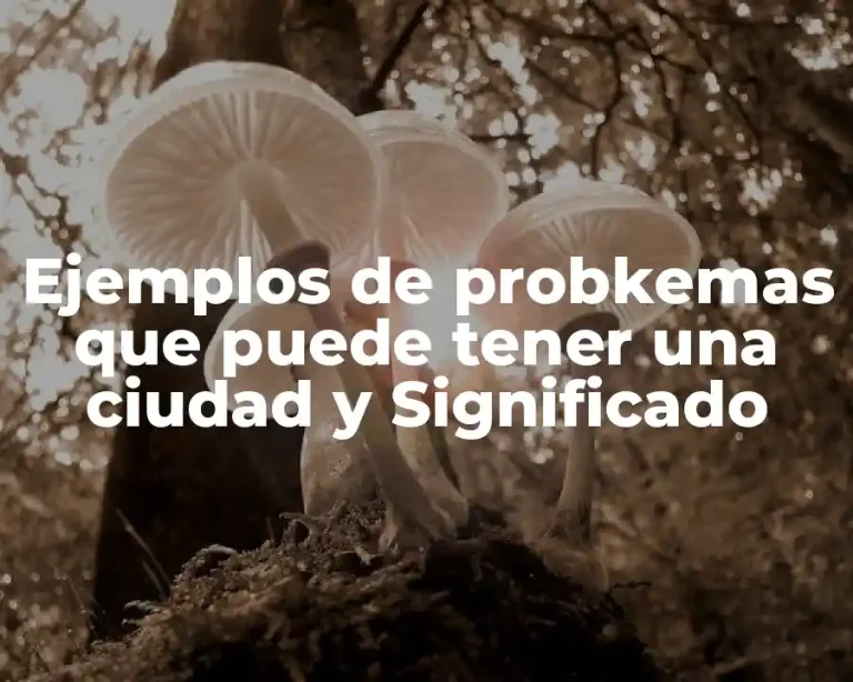 Ejemplos de probkemas que puede tener una ciudad y Significado