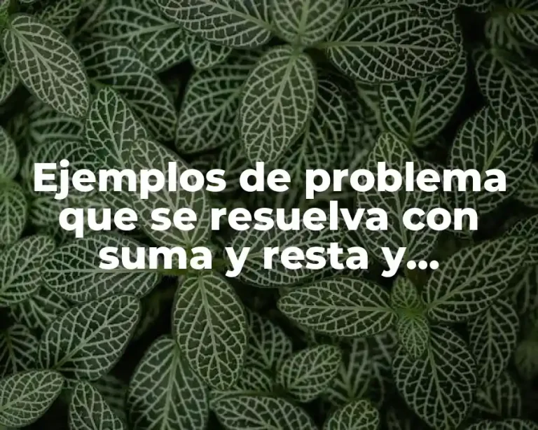 Ejemplos de problema que se resuelva con suma y resta y Significado