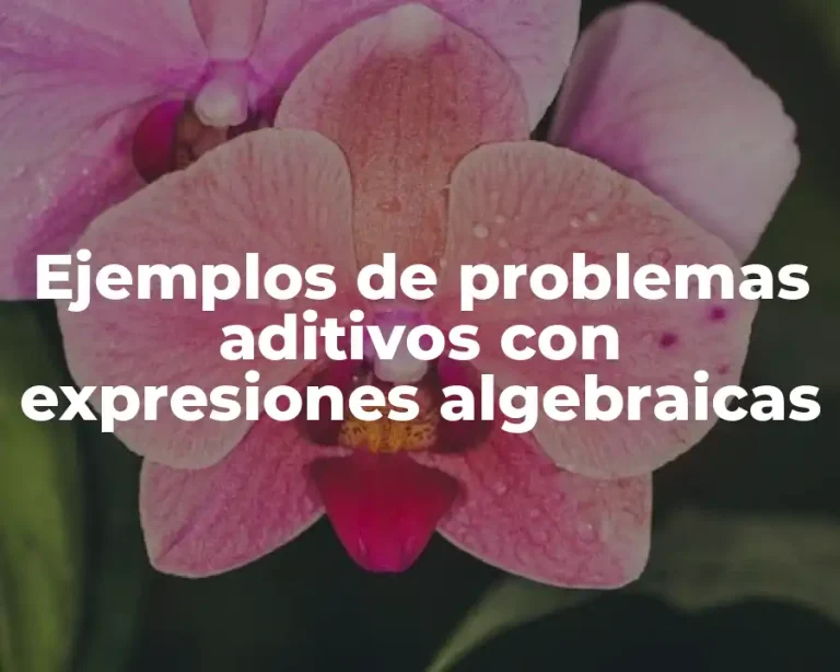 Ejemplos de problemas aditivos con expresiones algebraicas