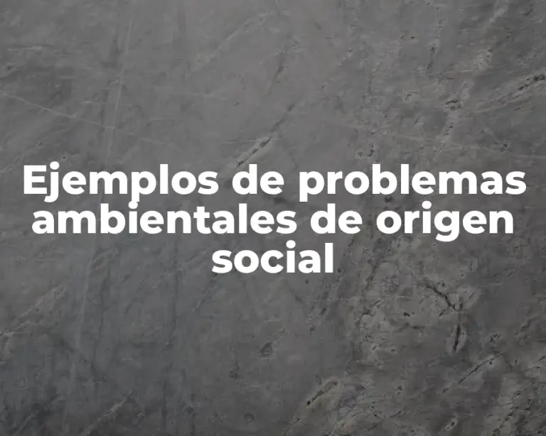Ejemplos de problemas ambientales de origen social