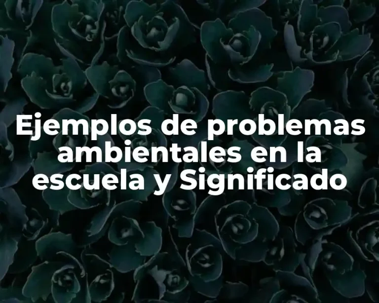 Ejemplos de problemas ambientales en la escuela y Significado