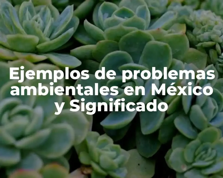 Ejemplos de problemas ambientales en México y Significado
