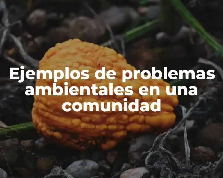 Ejemplos de problemas ambientales en una comunidad