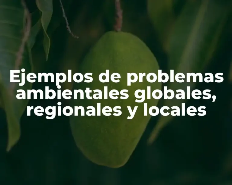 Ejemplos de problemas ambientales globales, regionales y locales