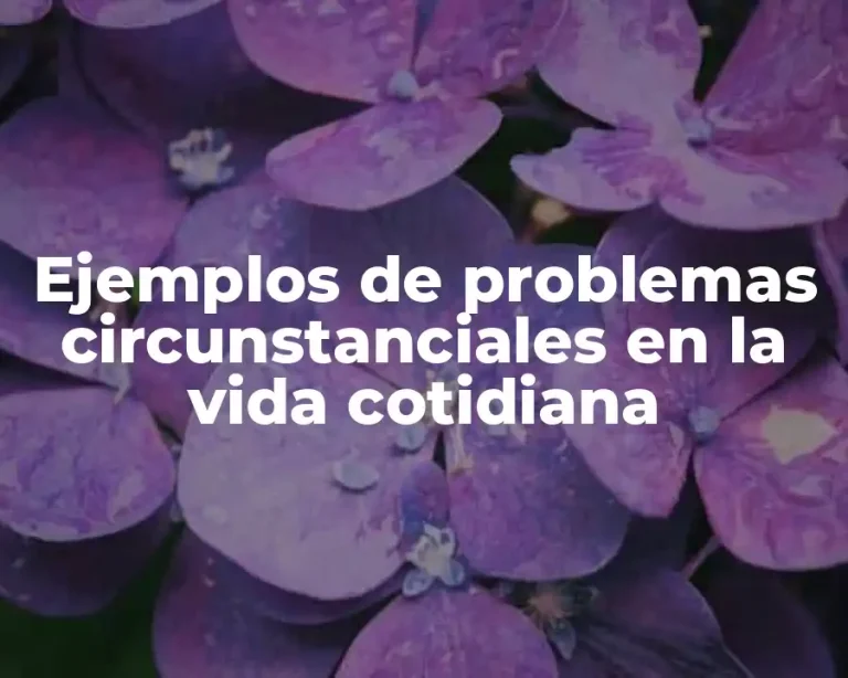 Ejemplos de problemas circunstanciales en la vida cotidiana