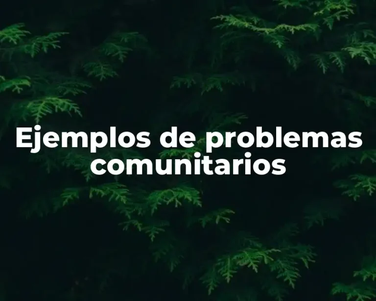 Ejemplos de problemas comunitarios