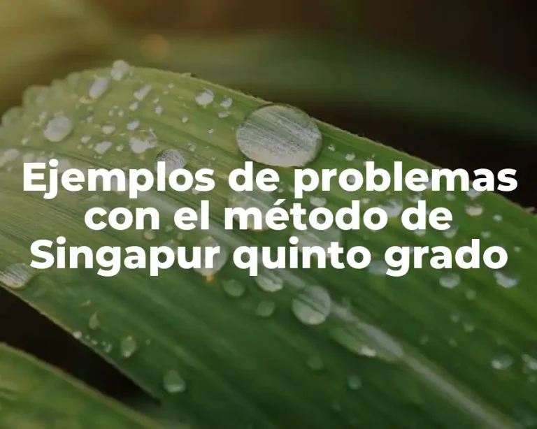 Ejemplos de problemas con el método de Singapur quinto grado