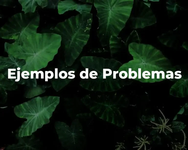 Ejemplos de Problemas