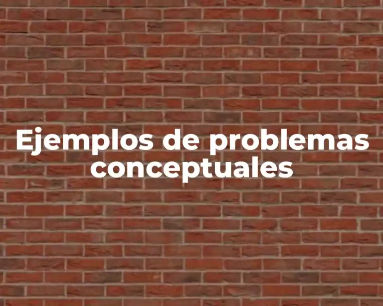 Ejemplos de problemas conceptuales