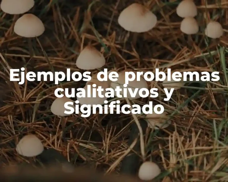 Ejemplos de problemas cualitativos y Significado