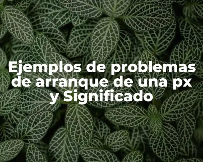 Ejemplos de problemas de arranque de una px y Significado