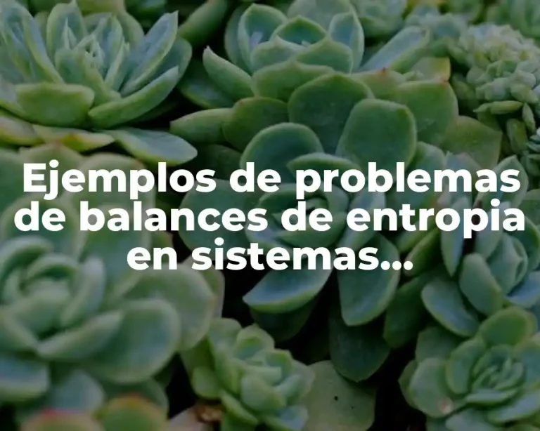 Ejemplos de problemas de balances de entropia en sistemas termodinámicos