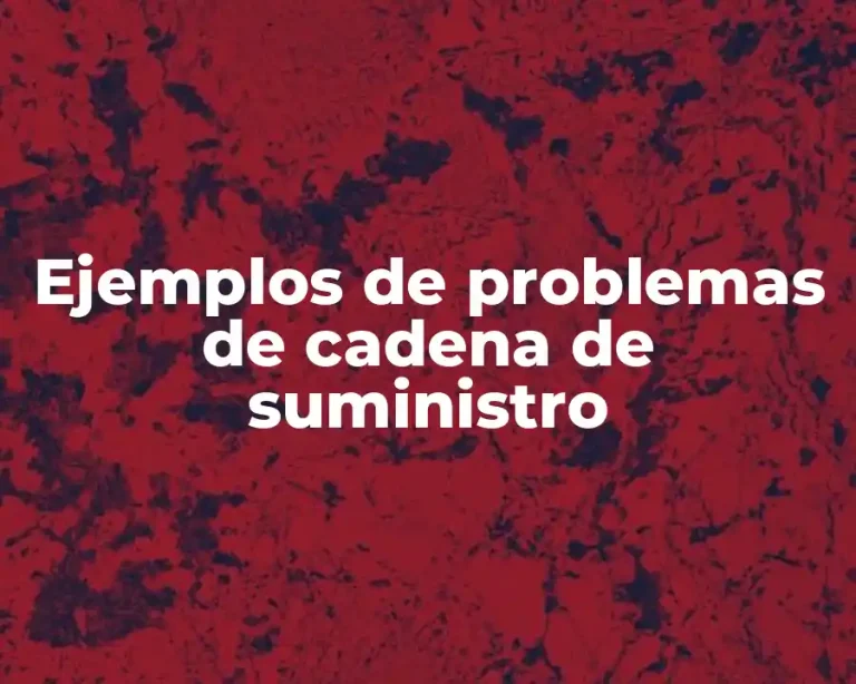 Ejemplos de problemas de cadena de suministro