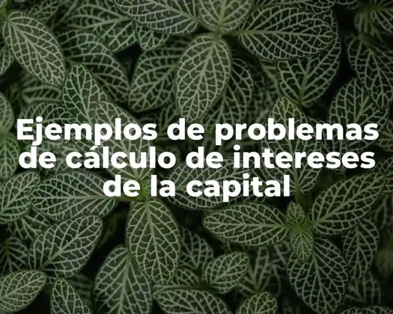 Ejemplos de problemas de cálculo de intereses de la capital