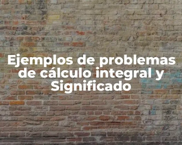 Ejemplos de problemas de cálculo integral y Significado