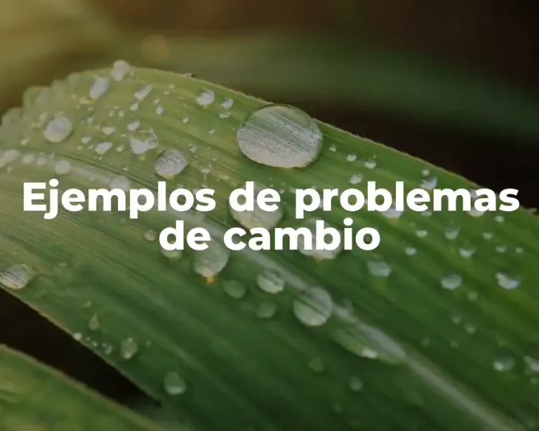 Ejemplos de problemas de cambio