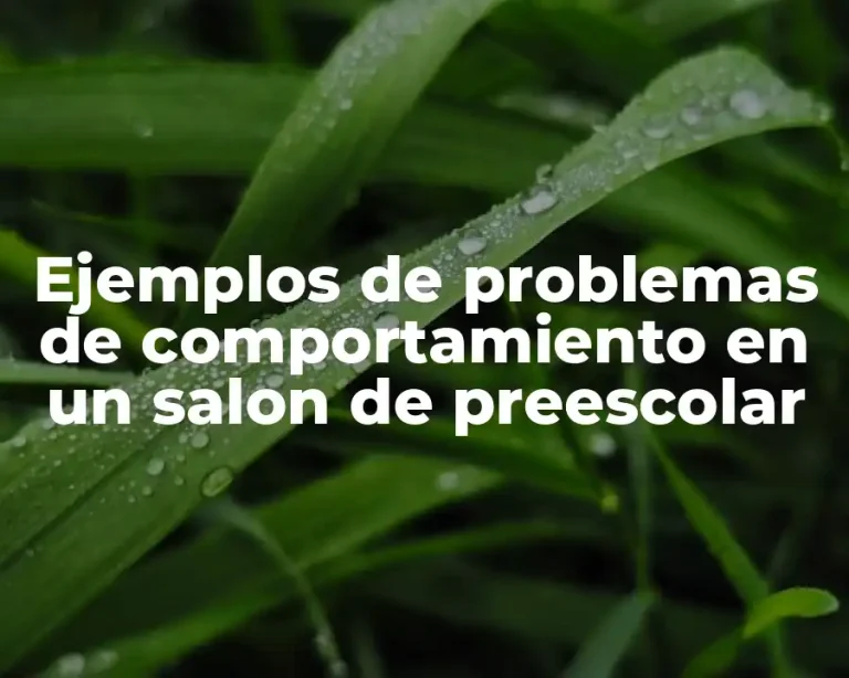 Ejemplos de problemas de comportamiento en un salon de preescolar