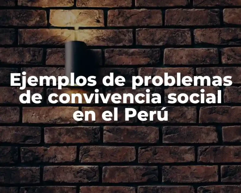 Ejemplos de problemas de convivencia social en el Perú