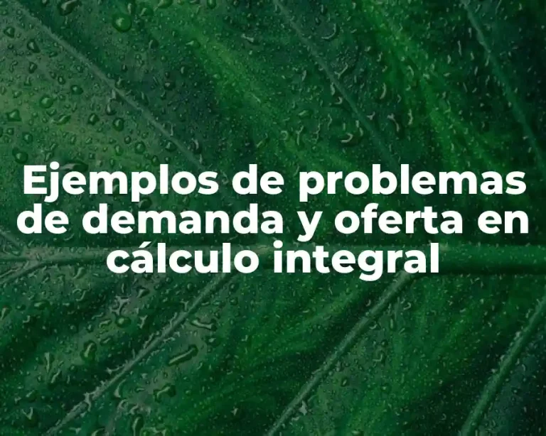 Ejemplos de problemas de demanda y oferta en cálculo integral