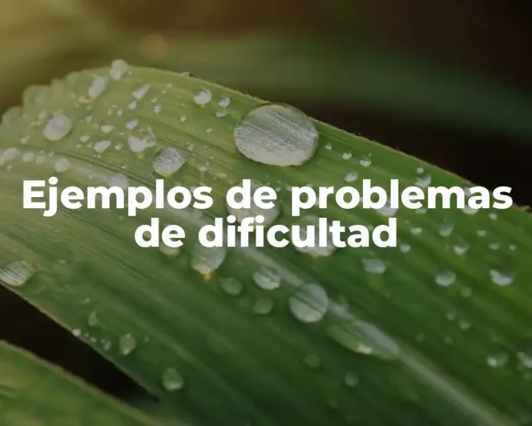 Ejemplos de problemas de dificultad