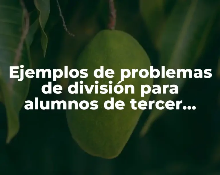 Ejemplos de problemas de división para alumnos de tercer grado