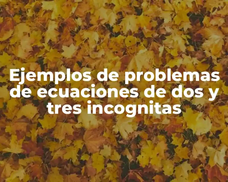 Ejemplos de problemas de ecuaciones de dos y tres incognitas