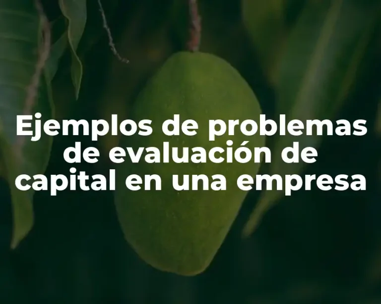 Ejemplos de problemas de evaluación de capital en una empresa
