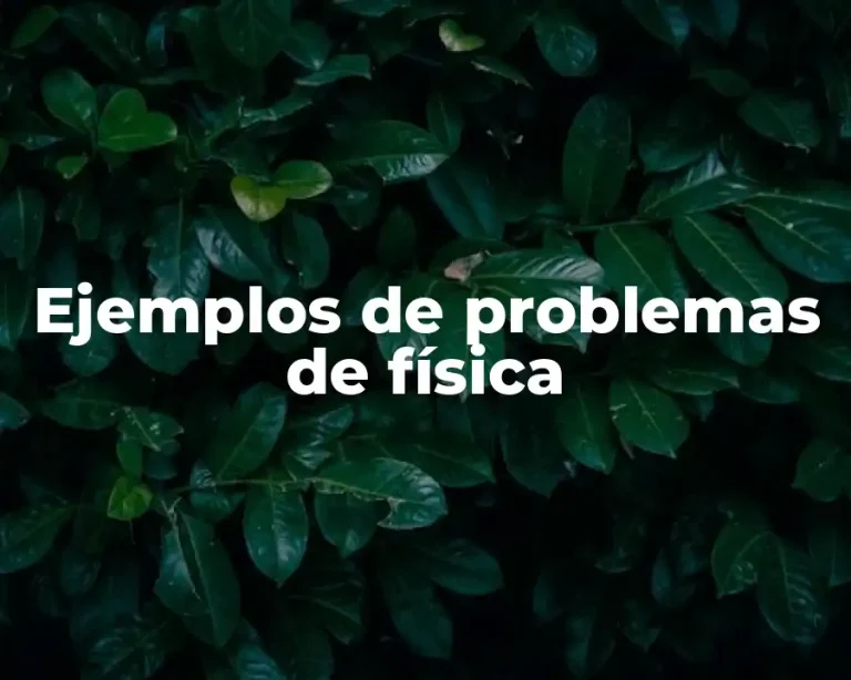 Ejemplos de problemas de física