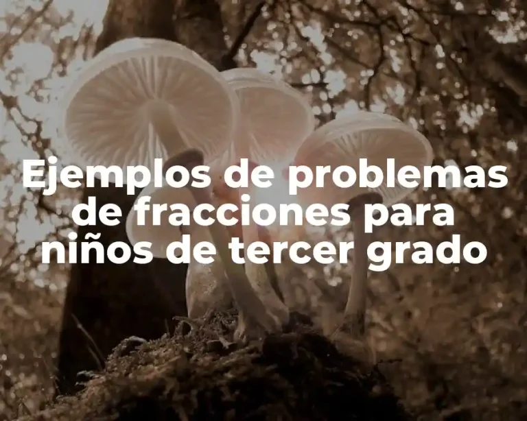 Ejemplos de problemas de fracciones para niños de tercer grado