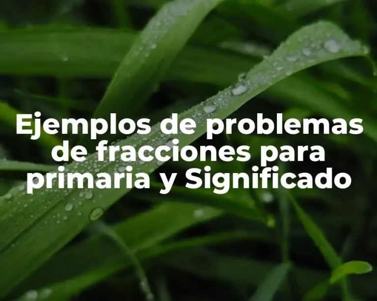 Ejemplos de problemas de fracciones para primaria y Significado