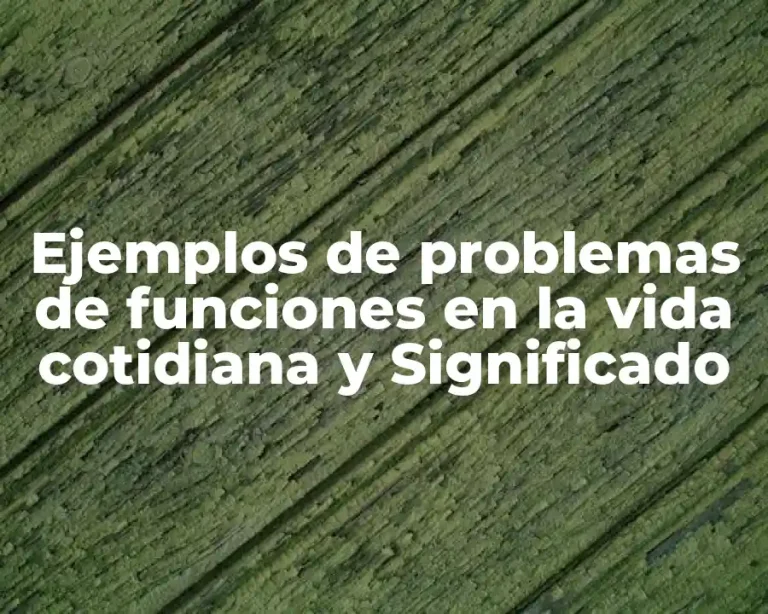Ejemplos de problemas de funciones en la vida cotidiana y Significado