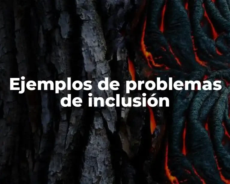 Ejemplos de problemas de inclusión