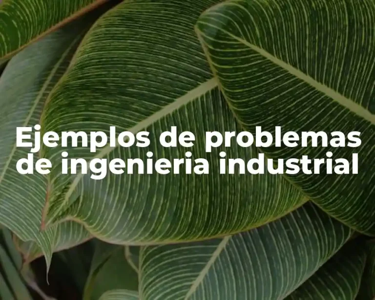 Ejemplos de problemas de ingenieria industrial