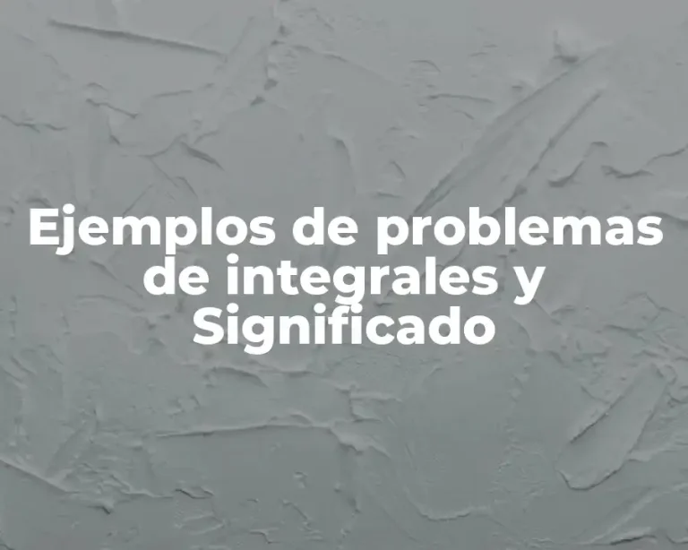 Ejemplos de problemas de integrales y Significado