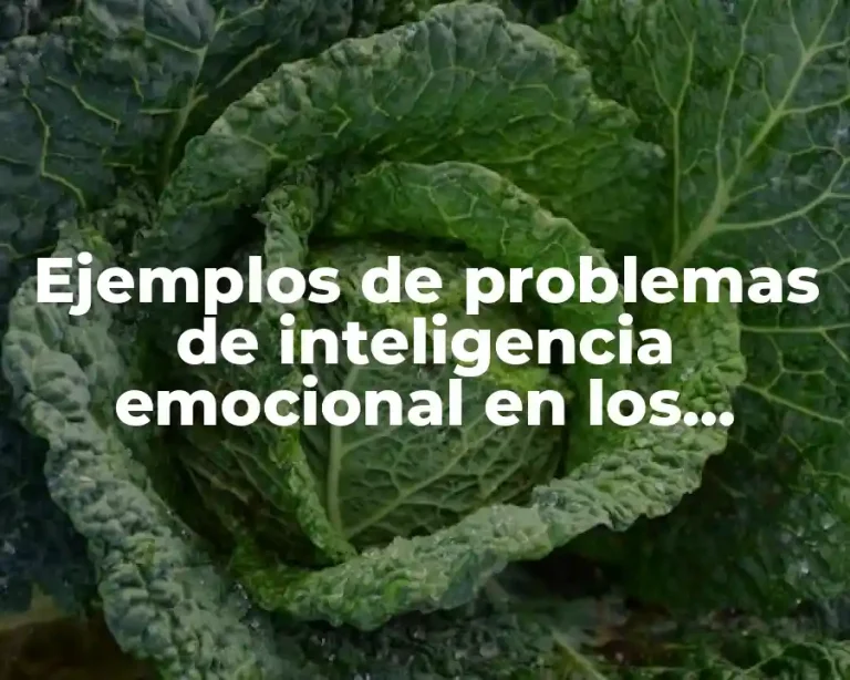 Ejemplos de problemas de inteligencia emocional en los adolescentes