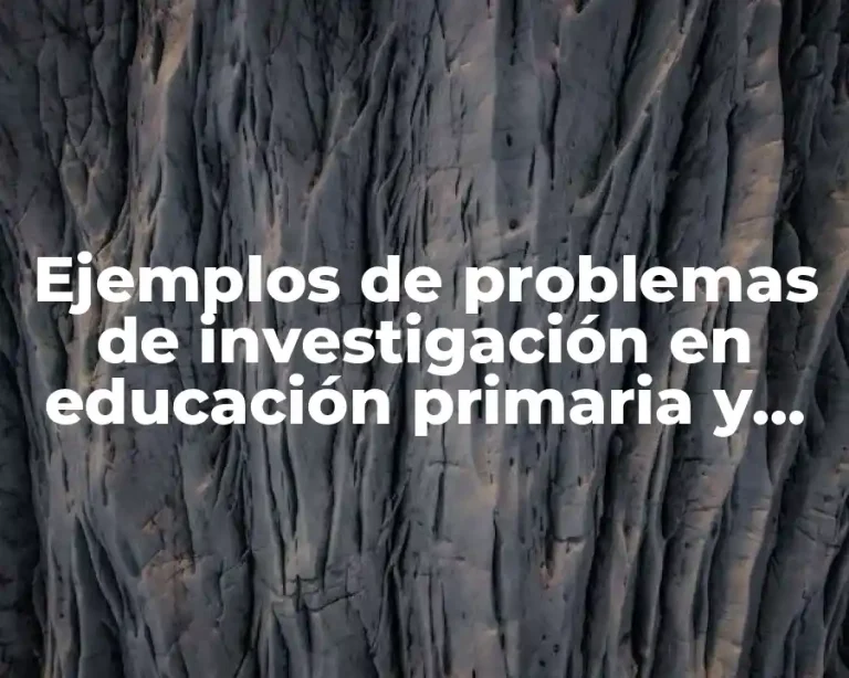 Ejemplos de problemas de investigación en educación primaria y Significado