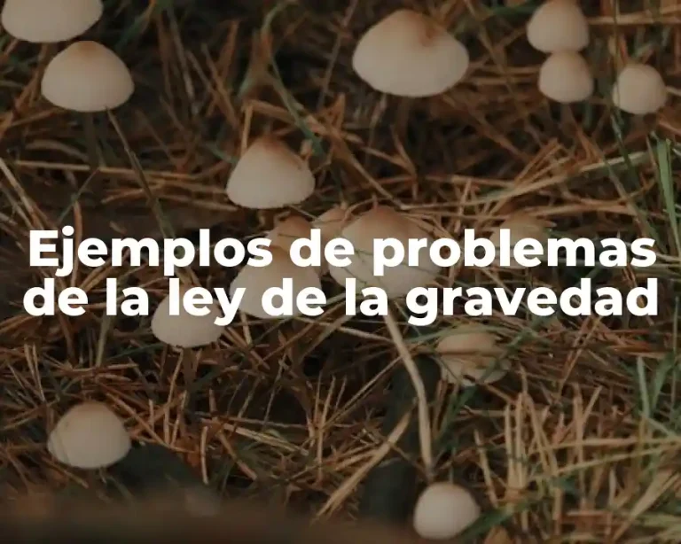 Ejemplos de problemas de la ley de la gravedad