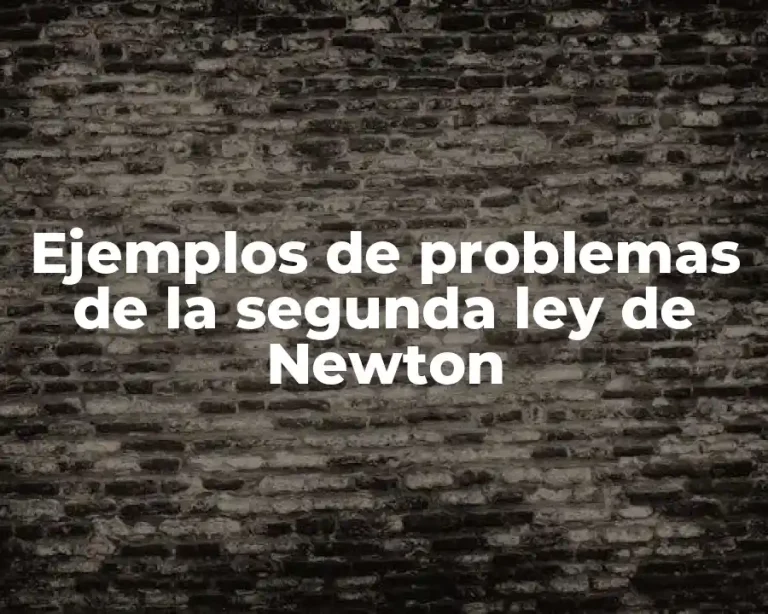 Ejemplos de problemas de la segunda ley de Newton