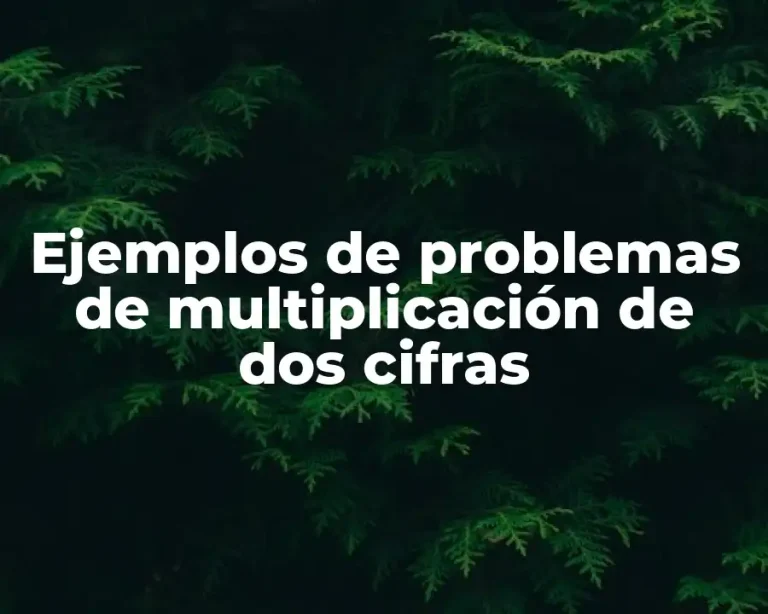 Ejemplos de problemas de multiplicación de dos cifras
