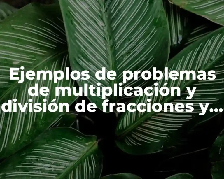 Ejemplos de problemas de multiplicación y división de fracciones y Significado