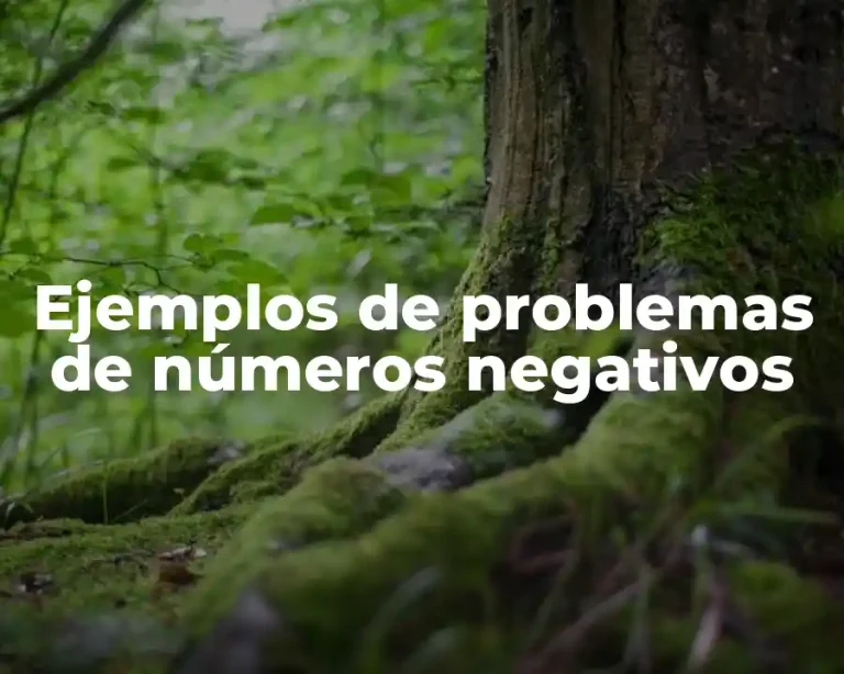 Ejemplos de problemas de números negativos