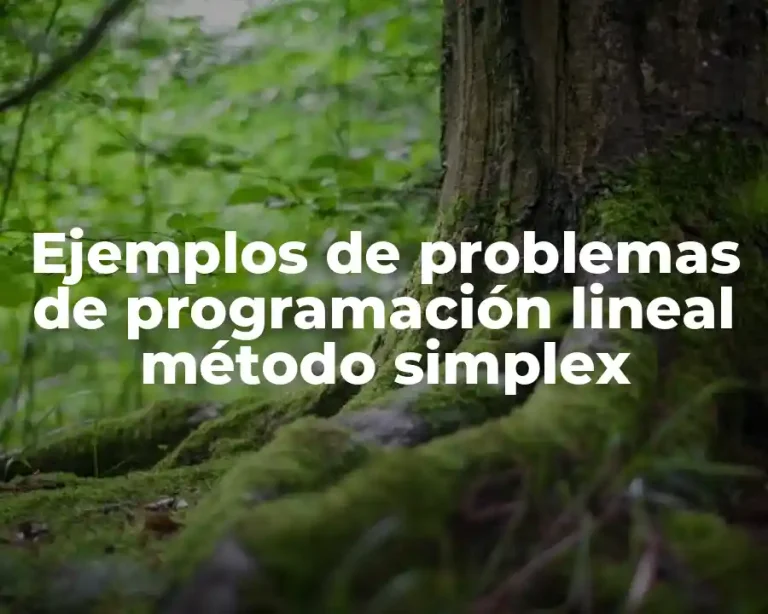 Ejemplos de problemas de programación lineal método simplex