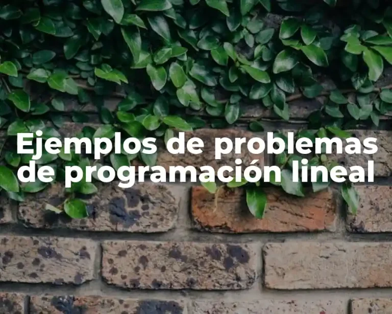 Ejemplos de problemas de programación lineal