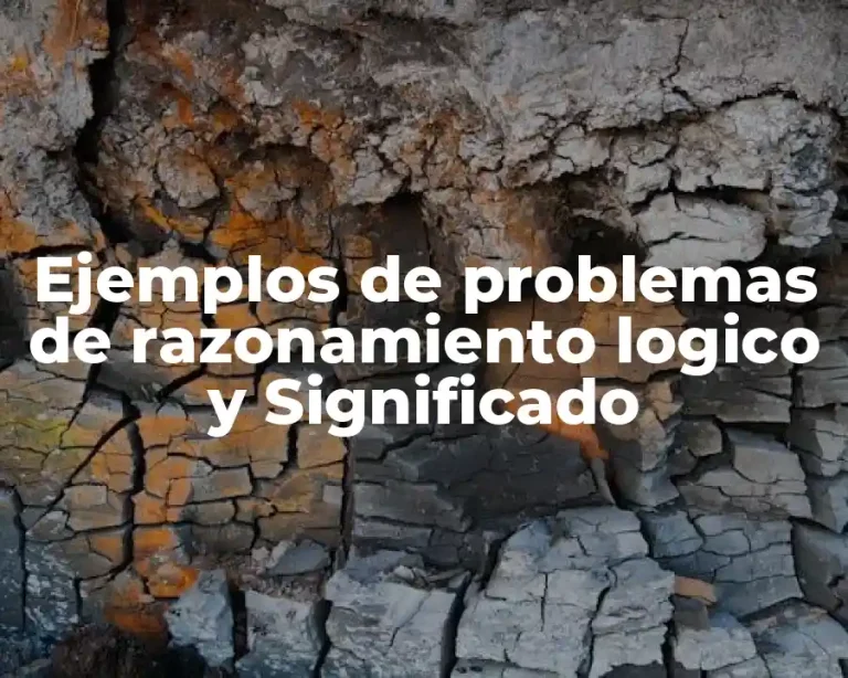 Ejemplos de problemas de razonamiento logico y Significado