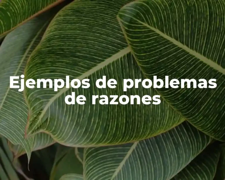Ejemplos de problemas de razones
